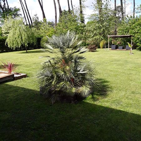 Chambre D'Hotes Les Iris A Mios Sur Le Bassin D'Arcachon Dış mekan fotoğraf